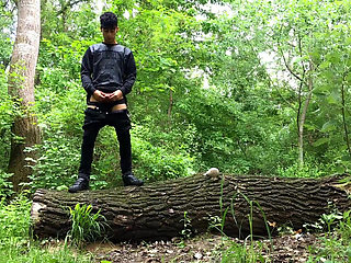 Piss From a Tree Trunk