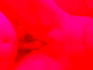 Making Love with My Wife "VERTICAL" Part 1