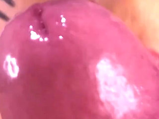 Delicious Kitty Blowjob