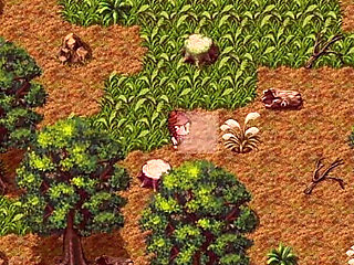 A Street Trader Lets Me Eat Her Pussy