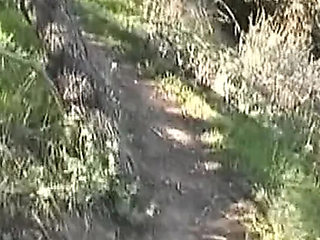 Hardcore Anal Fuck with French Babe Gets Huge Facial Cumshot