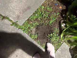 Dirty Stepsis Big Mess