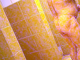 Bears Caught Naked in the Pool Shower