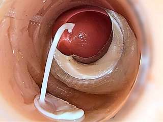Ladytwitti Deep Pussy Creampie - Internal Camera Captures Huge Sperm Ejaculation