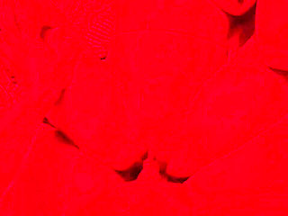 Bangladeshi New Model Have Been First Time Sex for Selection New Models