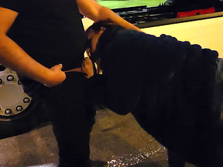 I fuck with a truck driver on a motorway rest area