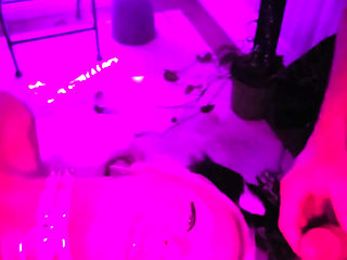 Pretty Party Smokey Kitty