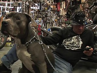 Alexis grace: Blowjob, Licking  Babe Porn