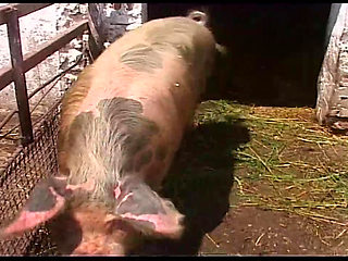 Vintage Blonde MILF Ravished in Barn and Outdoors