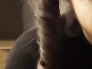 Wife Gets Creampie From Neighbor