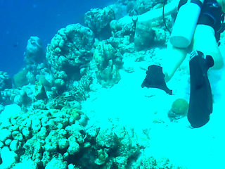 Alone Time in Bonaire