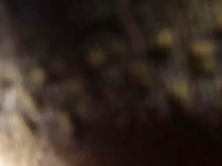 POV Interracial Blowjob with a Big White Cock and a Sweet Ebony Mouth That Receive a Huge Load in Mouth