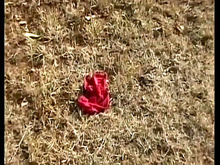 Brunette German Cougar with Naturals Gets Railed in Outdoor Orgy