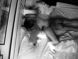 Stunning brunette hardcore on cam