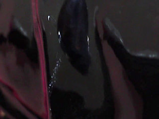 Tiffany Fox Boot Domination Femdom