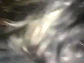 Wildenglishbbw BBC Nata4sex licking my pussy: blowjob, hardcore, ass to pussy