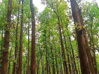 Desi Bhabhi Urineing in the Jungle