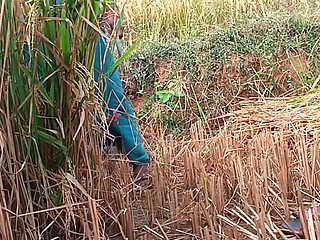 My Step Sister Fuck and Cum inside pussy Indian Beautiful Stepsister Desi Indian