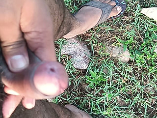Desi boy sex video