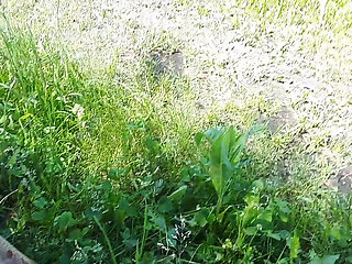 He Came to Fuck with His Mistress in the Forest