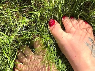 Step Into the Week, Nylon Toes, Shoes and Bare Feet in the Grass