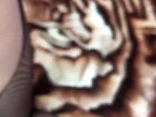 Oral Sex and Pussy Fucking in a Catsuit