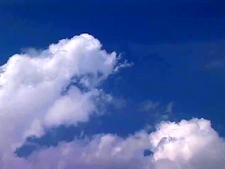 ATPSUVHXRWYHRQRMRI31ROE358