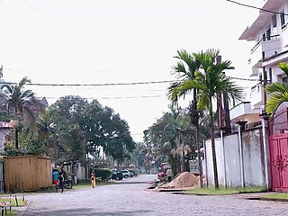 Surprise Under the Christmas Tree