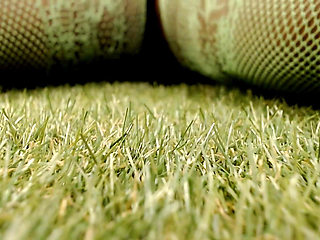 Student Indoors Grass Growth - This Isworship, This Ispower, This Isher, Growth Fetish Re-edited