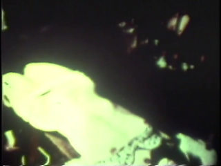 Disgusting Wild Fucking