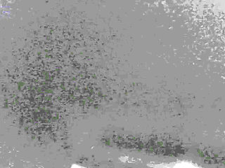 Down South Beach Sex Worker