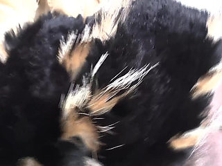 Ejaculation Training: Sniffing and Cumming on a Fur Scarf, Lady Victoria Valente