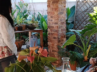 Outdoor Fun with My Neighbours Slutty Wife