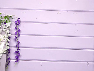 6 Pairs of Shoes, Many Views Striptease in Shoes