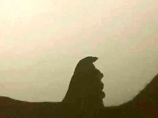 Foreplay shadow show mallu girl