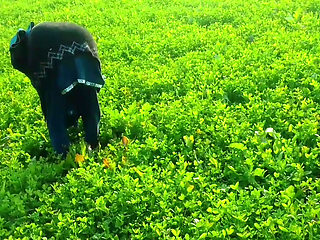 Khet kheton mein gand Marne Laga upar se Koi aaega FIR chhod Diya