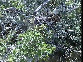 Hot bitch ass fucked on the hiking trail