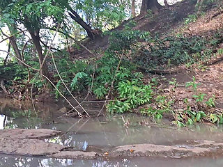 Lost in the Waterfall, Far From Everything, Excited, Searching for a Big, Better Dick.
