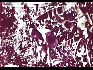 Vintage porn retro erotic theatre - wild sex 5