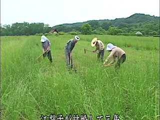 P139G02 A sad erotic drama set in the early Showa period in the suburbs of Kanto, about an only daughter of a temple and the heir to a farmer, who never end up together.