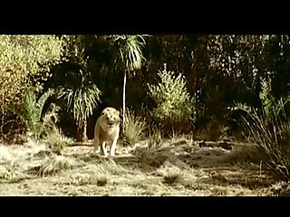 Asia loves big dick in hairy pussy in ass