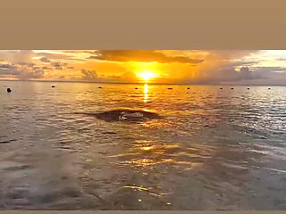 A Goddess’s Sunset Is the Signature to End the Day