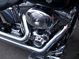 From the Street to the Pussy - Greedily the Cocks Are Sucked