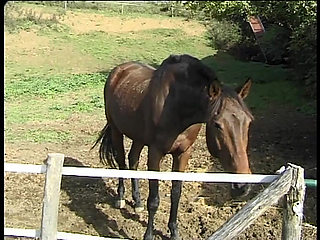 The Anal Desires of a Slut in Heat