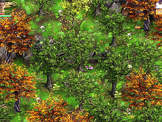 Nun Is Pregnant by Priest