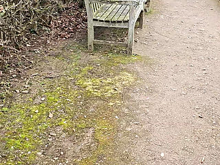 and eager to show off in the park