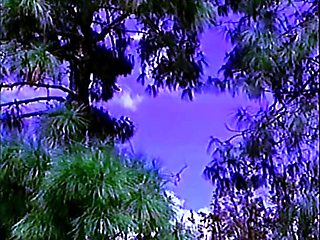 Macho Wannabe (USA 1992, Victoria Paris, Sunny Mc Kay)60fps - Victoria paris