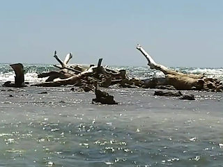 Doctor Max To the Caribbean: a story of white sluts and black cocks