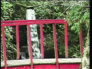 Shemale gets her ass rammed by a hot guy outdoors