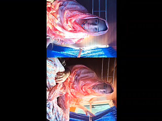 Bus me bhabi Ne chut dikha di chalu bus me